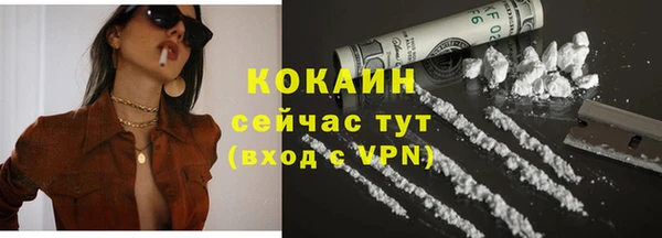 шишки Алексин