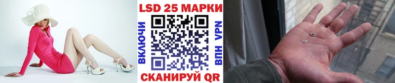 Марки N-bome 1,8мг где купить Домодедово
