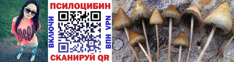 где найти наркотики  Домодедово  Галлюциногенные грибы мухоморы 
