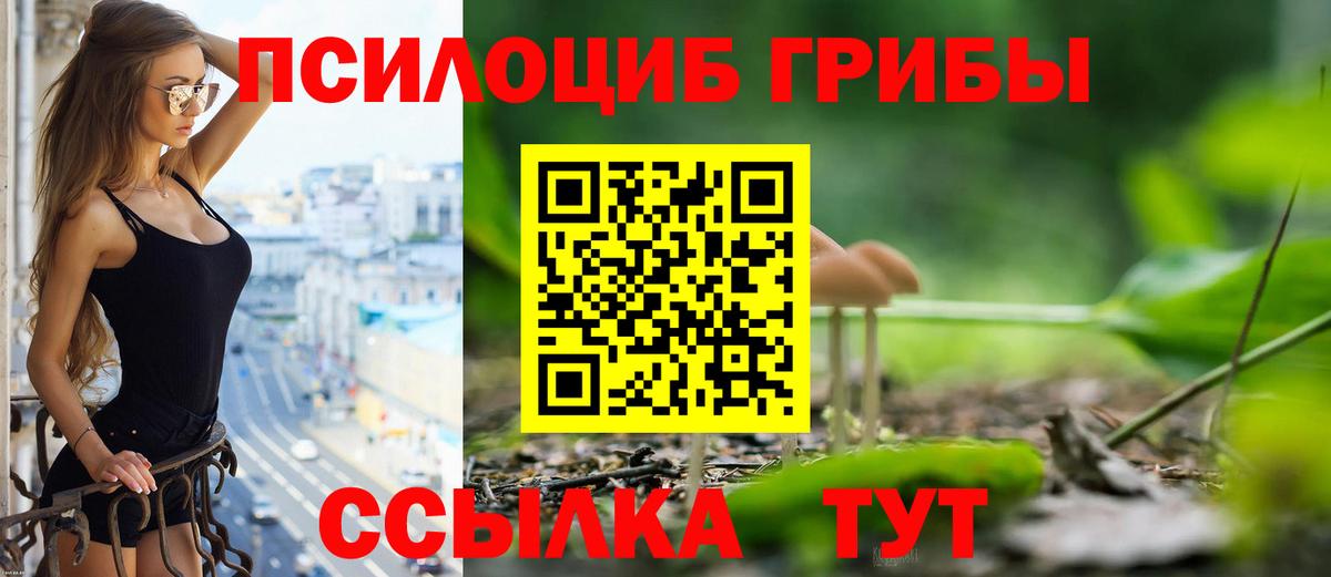 Домодедово  Галлюциногенные грибы GOLDEN TEACHER  Вход с VPN 