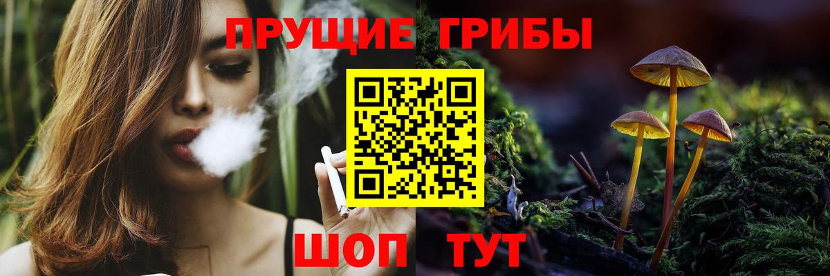 Псилоцибиновые грибы MAGIC MUSHROOMS Домодедово